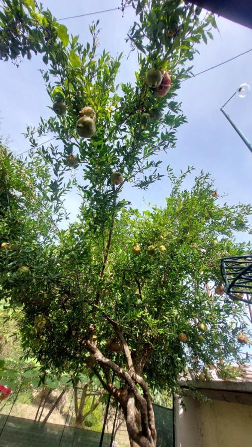 Relax Camping Gjirokastër Buitenkant foto